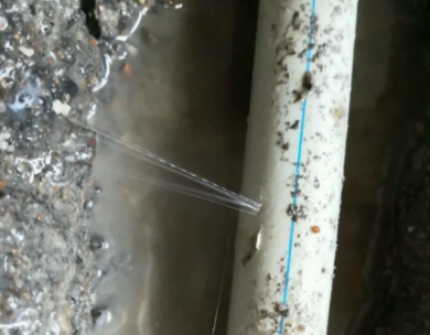 盐田测漏水哪家好