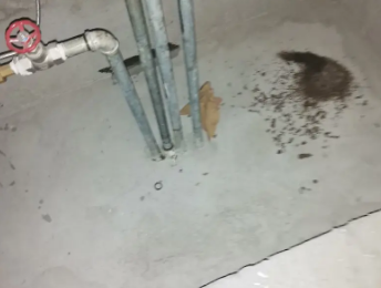 盐田卫生间测漏水价格明细