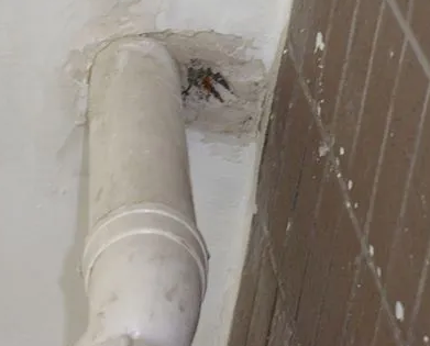 盐田漏水检测哪家好